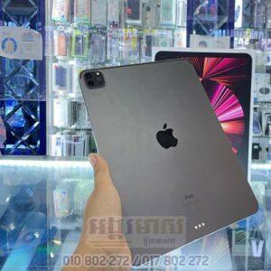Used iPad Pro M1 11" 256G (99%) SIM+Wifi