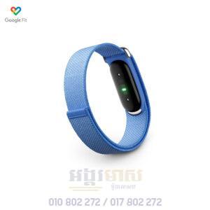 Google Fitbit Air