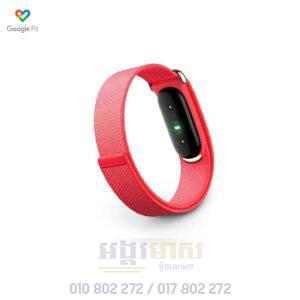 Google Fitbit Air