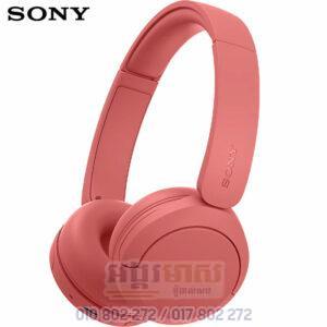 Sony WH-CH530 - Wireless Headphones